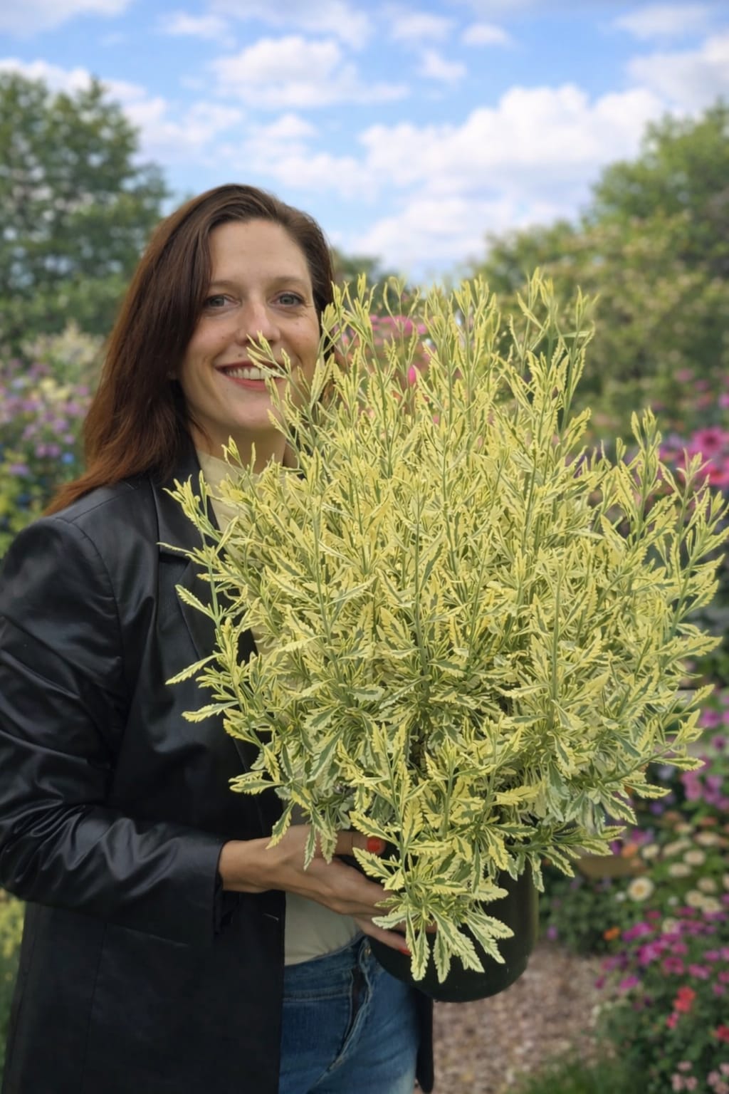 kim-van-rijssen-plantipp