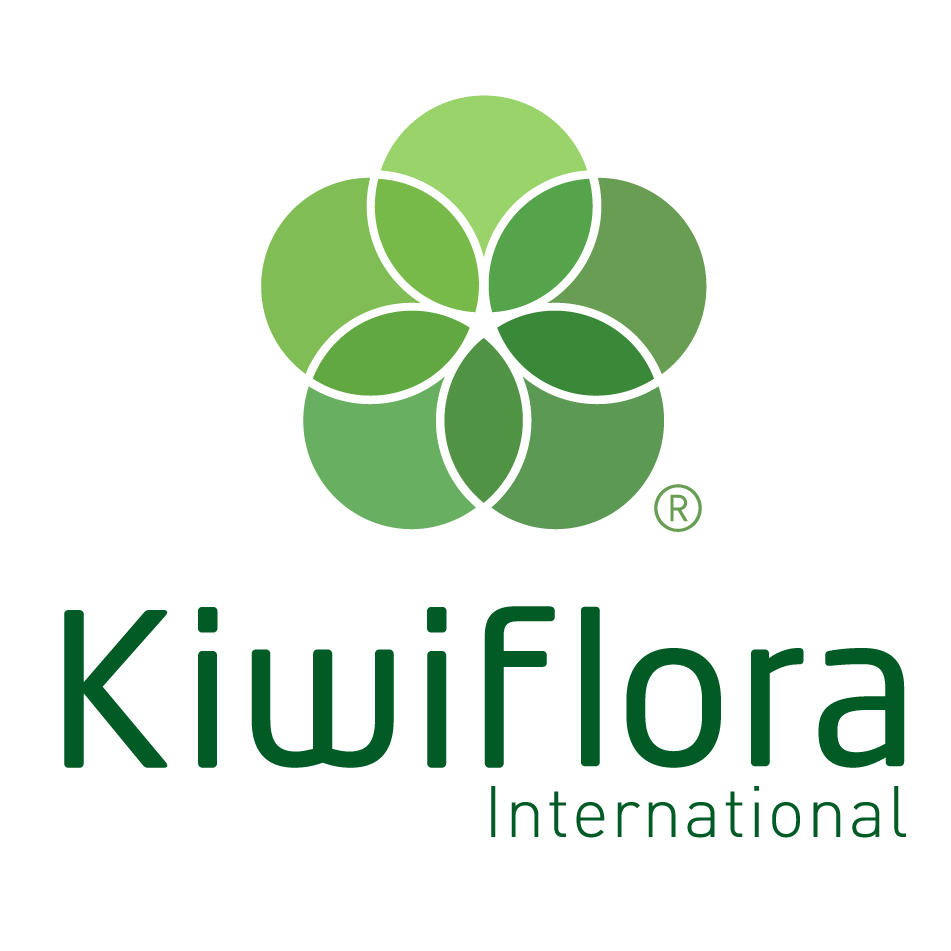 kiwiflora