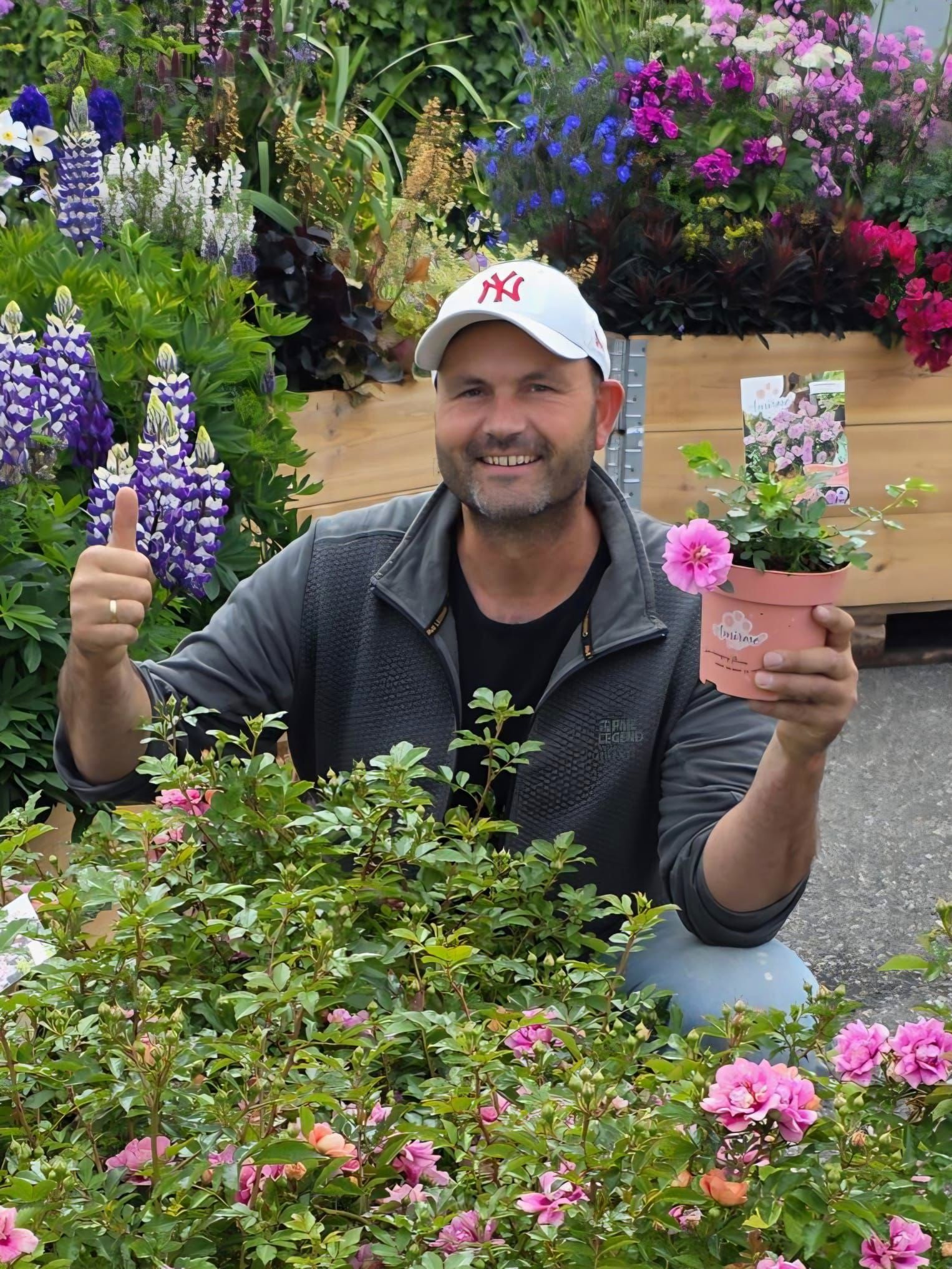 thijs-veldhuijzen-plantipp